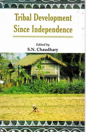Tribal Development Since Independence