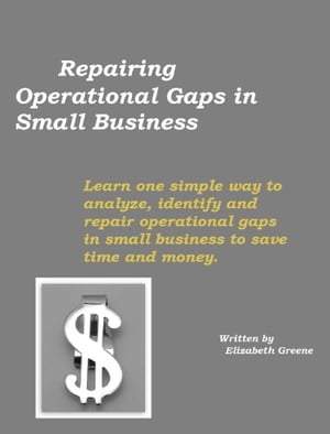 Repairing Operational Gaps in Small Business