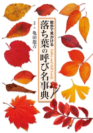 落ち葉の呼び名事典 散歩で見かける【電子書籍】[ 亀田龍吉 ]