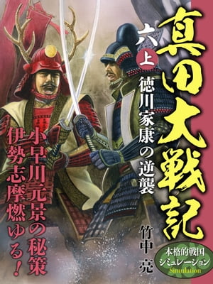 真田大戦記　六　上　徳川家康の逆襲