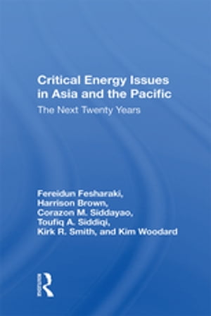 Critical Energy Issues In Asia And The Pacific The Next Twenty Years...