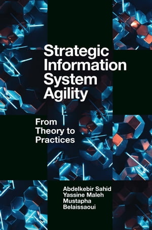 Strategic Information System Agility