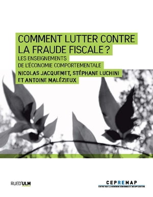 Comment lutter contre la fraude fiscale ?