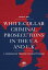 White Collar Criminal Prosecutions in the U.S. and U.K.