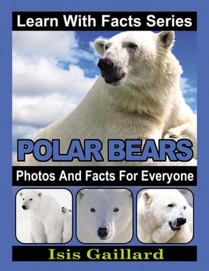 Polar Bears Photos and Facts for Everyone