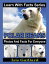 Polar Bears Photos and Facts for Everyone