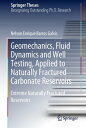 Geomechanics, Fluid Dynamics and Well Testing, Applied to Naturally Fractured Ca...