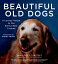 Beautiful Old Dogs