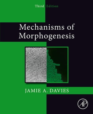 Mechanisms of Morphogenesis