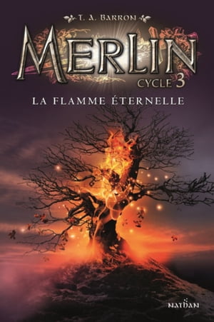 Merlin - Cycle 3 - tome 3 La flamme ?ternelle