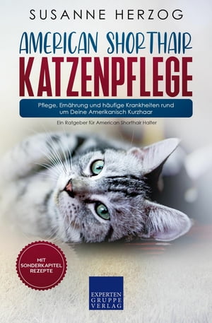 American Shorthair Katzenpflege - Pflege, Ernährung und häufige Krankheiten rund um Deine Amerikanisch Kurzhaar