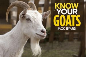 Know Your Goats【電子書籍】[ Jack Byard ]