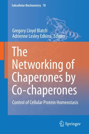 The Networking of Chaperones by Co-chaperones