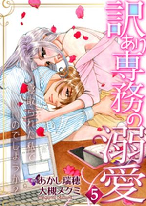 訳あり専務の溺愛〜寝取られた私でいいのでしょうか？〜5【電子書籍】[ 大槻メグミ ]