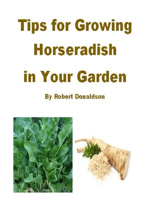 Tips for Growing Horseradish in Your Garden