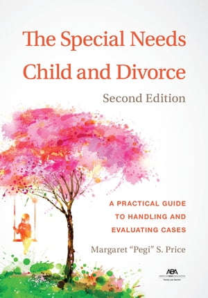 The Special Needs Child and Divorce