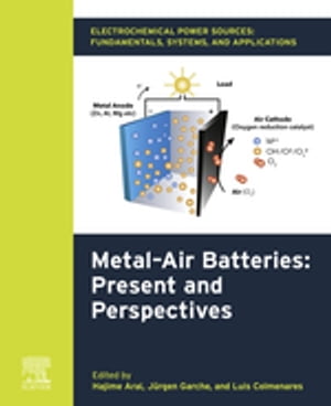 Electrochemical Power Sources: Fundamentals, Systems, and Applications