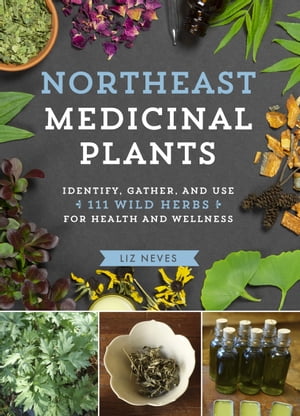 Northeast Medicinal Plants Identify, Harvest, and Use 111 Wild Herbs for Health and Wellness