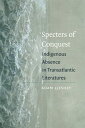 Specters of Conquest Indigenous Absence in Transatlantic Literatures