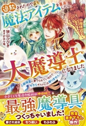 追放されたので魔法アイテムを量産したら、大魔導士になりました~上級精霊に愛でられているので、今さらギルドには戻りません!~【電子限定SS付き】