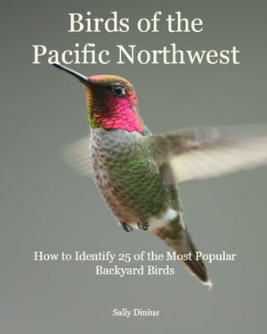 Birds of the Pacific Northwest: How to Identify 25 of the Most Popular Backyard Birds