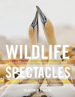 Wildlife Spectacles