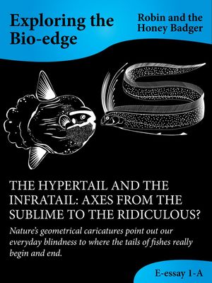 The Hypertail And The Infratail: Axes From The Sublime To The Ridiculous?Żҽҡ[ Robin and the Honey Badger ]