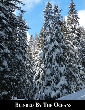 ŷKoboŻҽҥȥ㤨Blinded By The OceansŻҽҡ[ Andy Morales ]פβǤʤ162ߤˤʤޤ