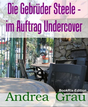 Die Gebrüder Steele - im Auftrag Undercover