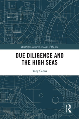 Due Diligence and the High Seas