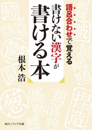 語呂合わせで覚える　書けない漢字が書ける本