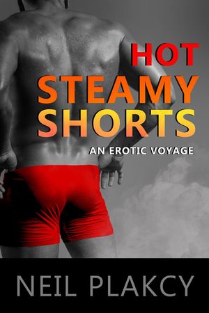 Hot Steamy Shorts: An Erotic V