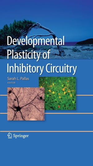 Developmental Plasticity of Inhibitory Circuitry