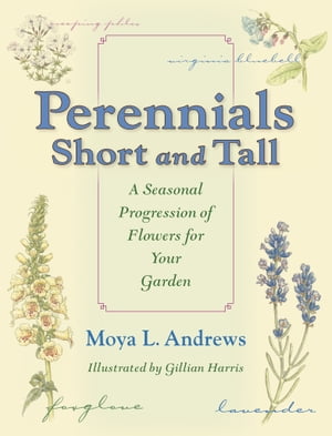 Perennials Short and Tall