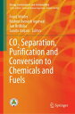 CO2 Separation, Puri?cation and Conversion to Chemicals and Fuels【電子書籍】