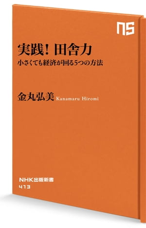 実践！田舎力　小さくても経済が回る５つの方法