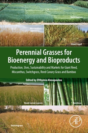 Perennial Grasses for Bioenergy and Bioproducts Production, Uses, Sustainability and Markets for Giant Reed, Miscanthus, Switchgrass, Reed Canary Grass and Bamboo【電子書籍】