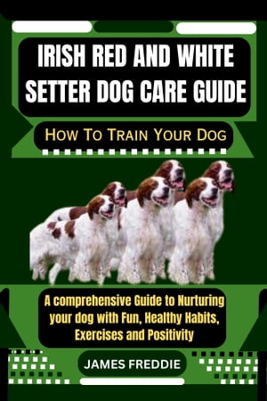 Irish Red And White Setter Dog care guide
