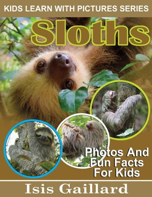 Sloths Photos and Fun Facts for Kids Kids Learn With Pictures, #97Żҽҡ[ Isis Gaillard ]