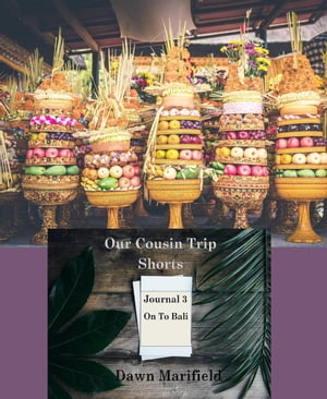 Our Cousin Trip Shorts Journal 3 On to Bali Our 