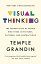 Visual Thinking