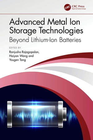 Advanced Metal Ion Storage Technologies Beyond Lithium-Ion BatteriesŻҽҡ