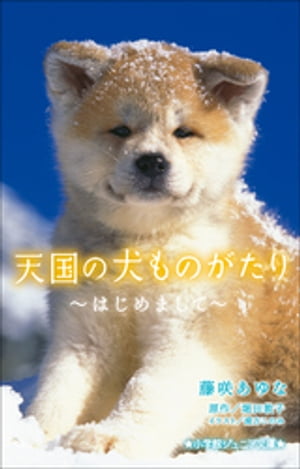 小学館ジュニア文庫　天国の犬ものがたり〜はじめまして〜