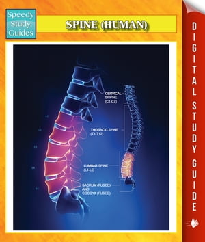 Spine (Human) Speedy Study Guides