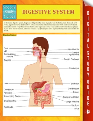 Digestive System Speedy Study Guides【電子書籍】[ Speedy Publishing ]