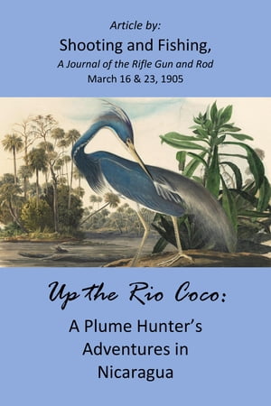 Up the Rio Coco: A Plume Hunter's Adventures in Nicaragua