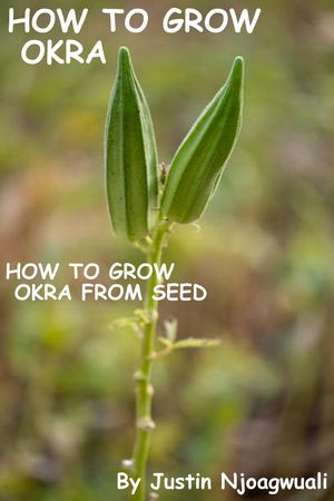 How To Grow Okra