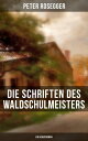 Die Schriften des Waldschulmeisters (Ein Heimatr