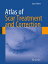 Atlas of Scar Treatment and Correction