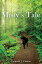 Misty's Tale
